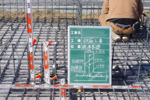 46093_aha_photo
