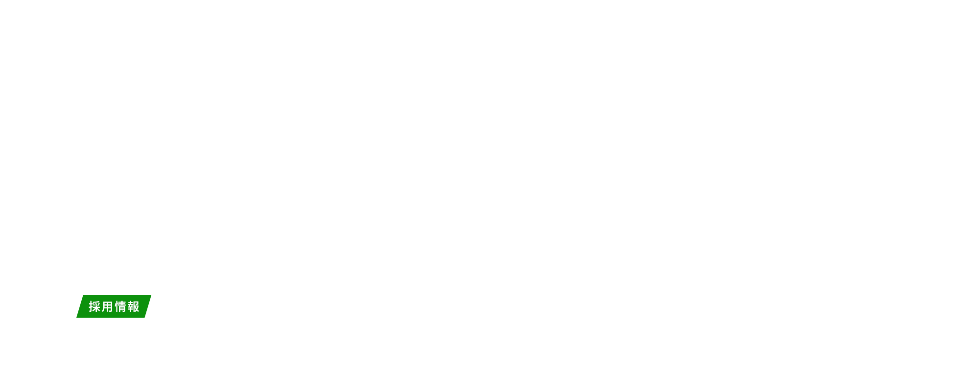 採用情報